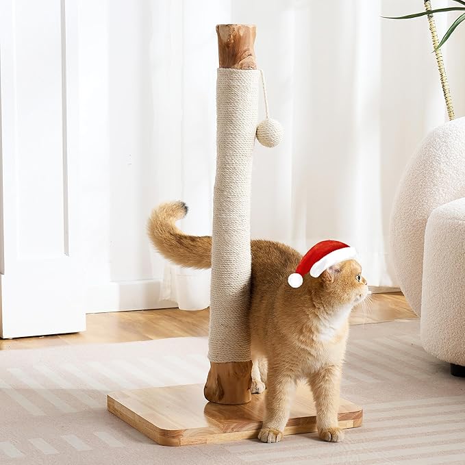 29" Tall Solid Wood Cat Scratching Post for Indoor Cats, Extra Stable Heavy Base, Natural Sisal Scratcher with Hanging Ball, Furniture Protector for Kittens & Adult Cats, White