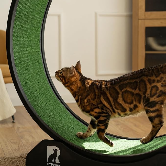 Cat Exercise Wheel, 39.4 Inch Indoor Treadmill for Cats with Carpeted Runway, Screw-Fixed Assembly for Easy Setup, Silent & Safe Fitness Equipment for Most Cats