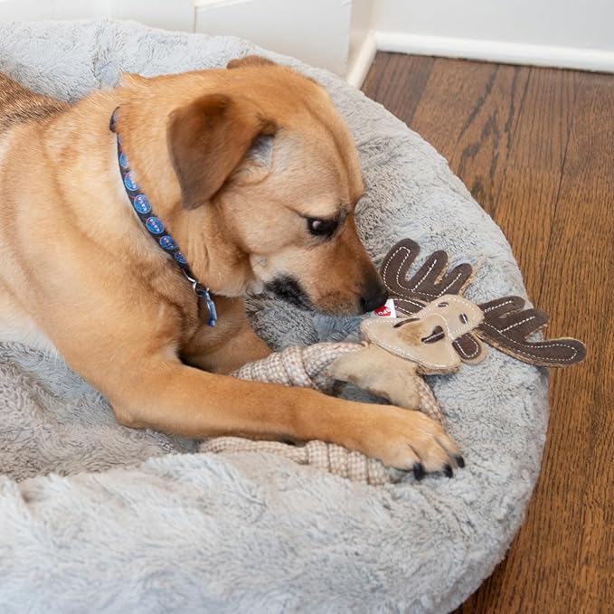 SPOT Dura-Fused Leather Animal Rings - Rope Dog Toy, Made with Real Leather and Jute Fabric, Durable Rope Ring is Great for Tugging and Chewing - 11in, Assorted Styles, 1 Piece