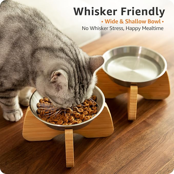 Raised Cat Bowl, 2 Pack Stainless Steel Elevated Cat Bowl Whisker Friendly Wide Flat Shallow Cute with Bamboo Stand Elevated Cat Food Plate Dishwasher Safe No Slip Lifted Raised Cat Dish Easy Clean