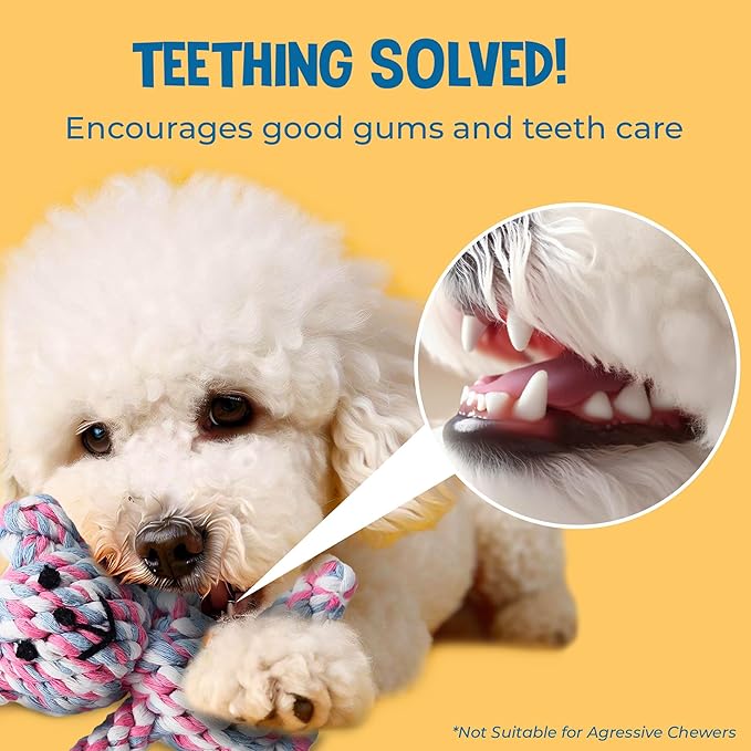 SunGrow Teddy Bear Puppy Teething Toy, Durable Tug and Chew Play for Small & Medium Dogs, Knotted Rope Cotton Design for Teething Comfort, Interactive Training, Active Pet, & Oral Cleaning