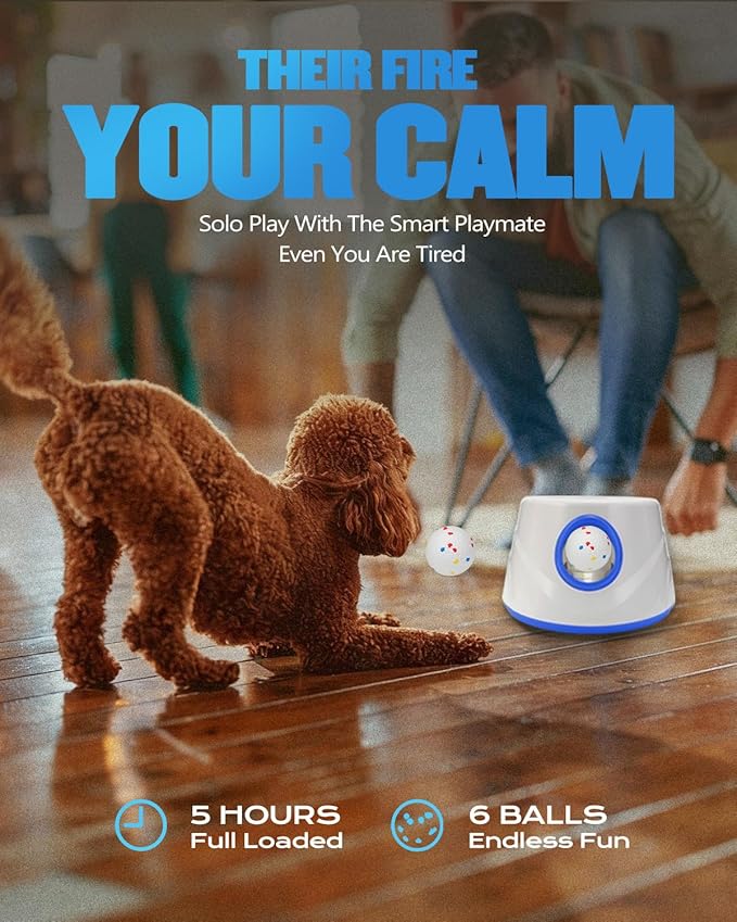 Automatic Dog Ball Thrower Launcher for Small to Medium Dogs, Tennis Machine Ball Thrower for Dogs, Interactive Dog Toys for Boredom, Games to Keep Them Busy, Includes 6 ETPU Balls, 2.3 Inch (BLUE)