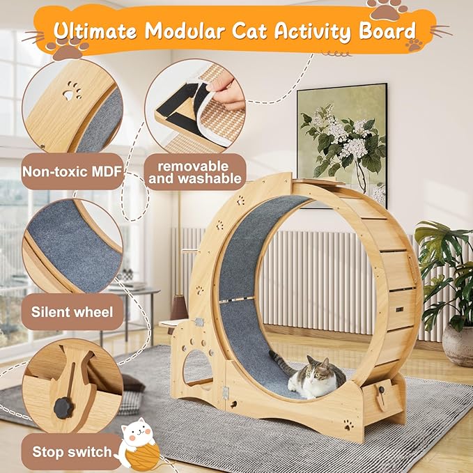 Cat Wheel 5-in-1 Upgraded Exercise Treadmill for Indoor Cats，Cats Treadmill with Silent Running,Tunnel,Wheels for Indoor