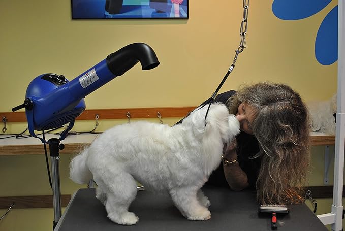 XPOWER B-16 Professional Pet Grooming Carbon Dust Free Finishing Dryer w/DC Brushless Motor, Show Quality Finish On Dense/Curly/Silky/Double Coats…