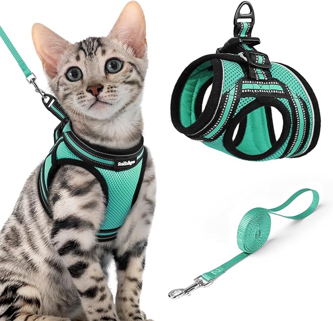 rabbitgoo Cat Harness and Leash, Step-in Escape Proof Kitten Harness Set, Soft Comfortable Cat Vest, Easy to Wear and Adjust, Reflective for Safe Outdoor Walking, Green, X-Large