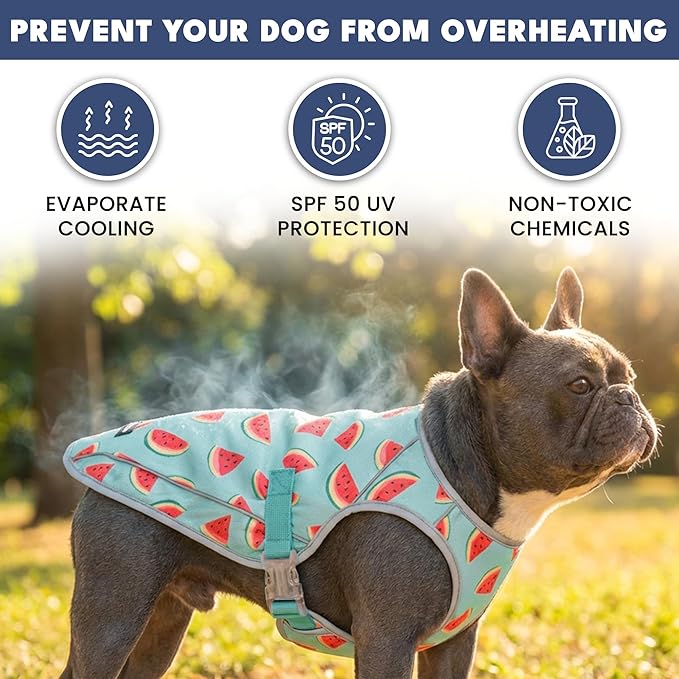 Spark Paws Dog Cooling Vest - SPF 50 UV Sun Protection - Summer Heat Relief Gear for Dogs, Lightweight, Evaporative Cooling - Dog Anxiety Relief Vest During Hot Days - Watermelon - Size XL