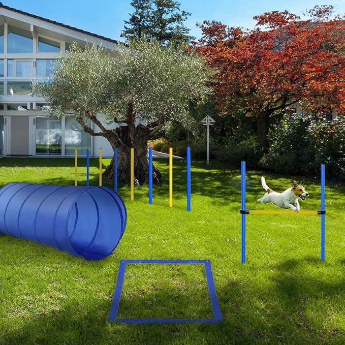 Backyard Dog Agility Training Kit Obstacle Course Equipment Jumps Tunnel