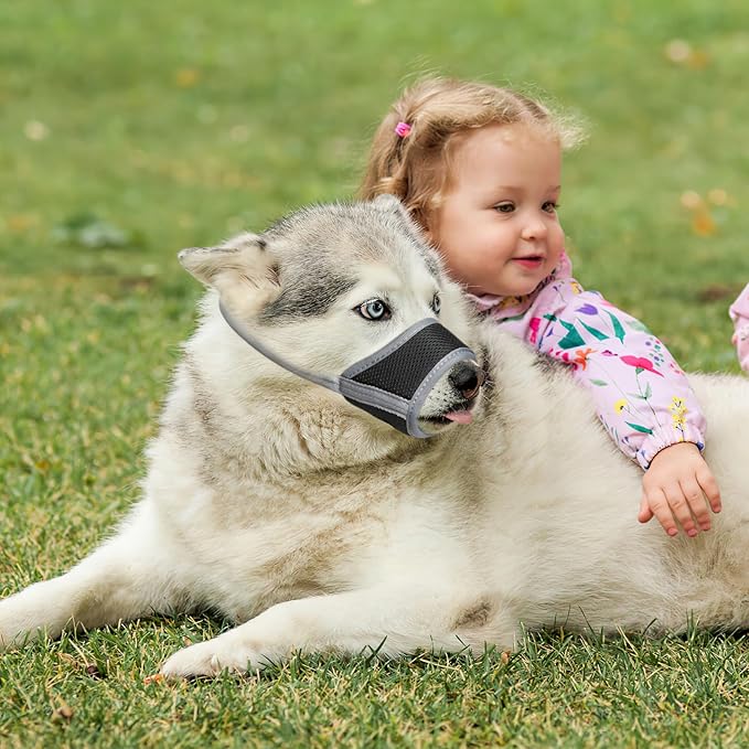 HEELE Dog Muzzle,Soft Nylon Muzzle Anti Biting Barking Chewing,Air Mesh Breathable Drinkable Adjustable Loop Pets Muzzle for Small Medium Large Dogs 4 Colors 4 Sizes (Gray, S)