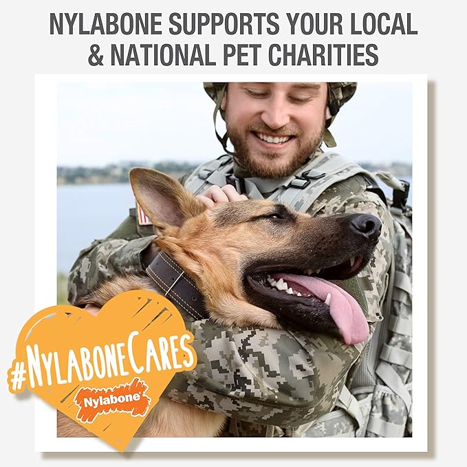 Nylabone Original Wishbone Power Chew Toy for Dogs, Dog Toys for Aggressive Chewers, Original Flavor, Small - Up to 25 Ibs, 1 Count (Pack of 12)