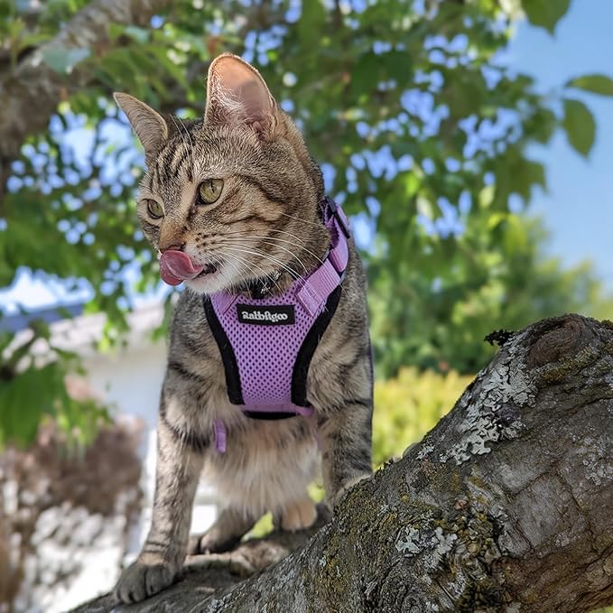 rabbitgoo Cat Harness and Leash Set, Escape Proof Vest Harness for Safe Outdoor Walks, Soft Breathable Adjustable Vest with Reflective Strips for Average to Large Cats, Light Purple, M