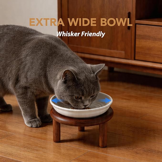 Havniva Elevated Cat Bowls Raised Ceramic Cat Bowl, 5.9” Wide Opening Cat Food Bowl Whisker Friendly Cat Dish Anti-Slip with Wood Stand, Shallow Pet Food & Water Bowl for Indoor Cats