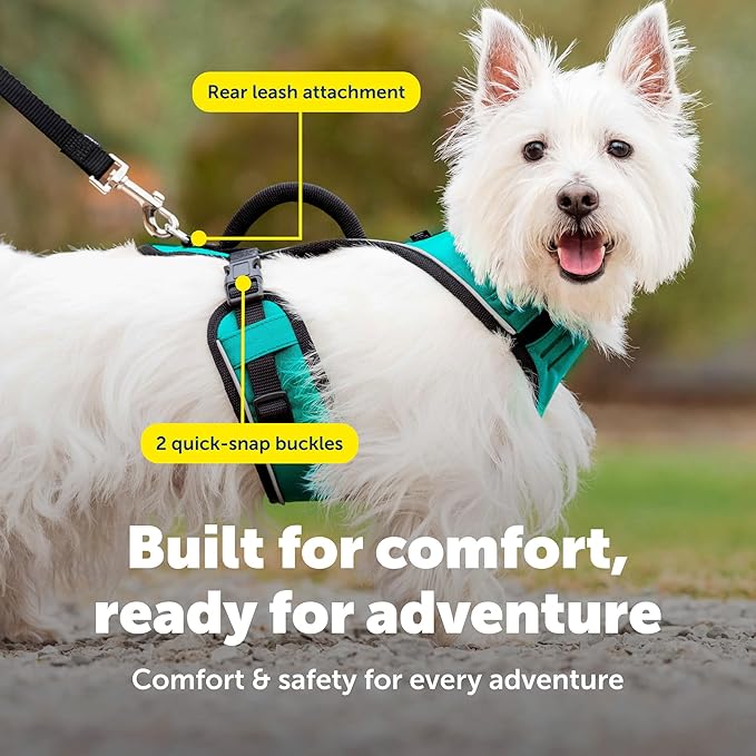 PetSafe EasySport Harness Padded Straps Fully Adjustable Elastic Neckline Best for Athletic Dogs Top Handle for Quick Control - Small - Teal