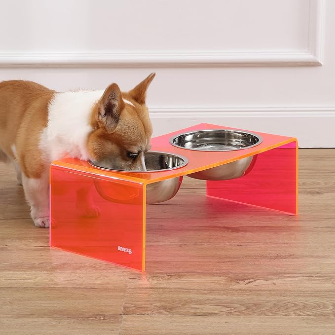 THE LICKER Store DBL2001E Keaton 7.5" Medium/Large Modern Acrylic Rectangular Elevated Pet Feeder with 54oz 2-Stainless Steel Bowls, Pink/Chrome
