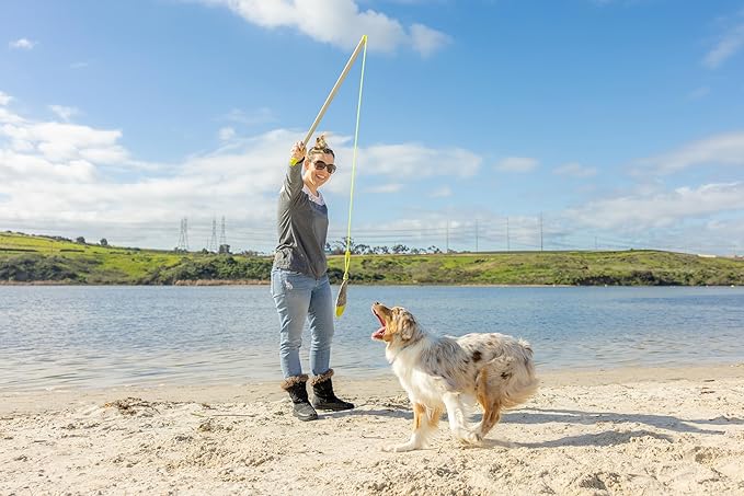 Hyper Pet Flirt Pole, Interactive Training Dog Toy, 36.5" Metal Pole with 45” Rope, 3 Toy Attachments and Replacement Rope, for All Breed Sizes