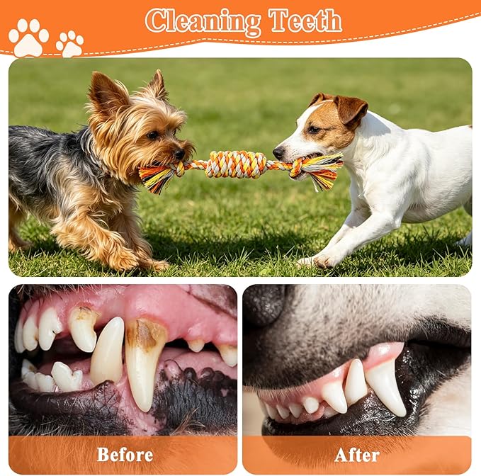 ASOCEA 5 Pack Dog Rope Toys Cotton Puppy Teething Rope Durable Chew Toys for Boredom Small Dogs Puppies Interactive Tug Toy for Training Fetching (Orange)