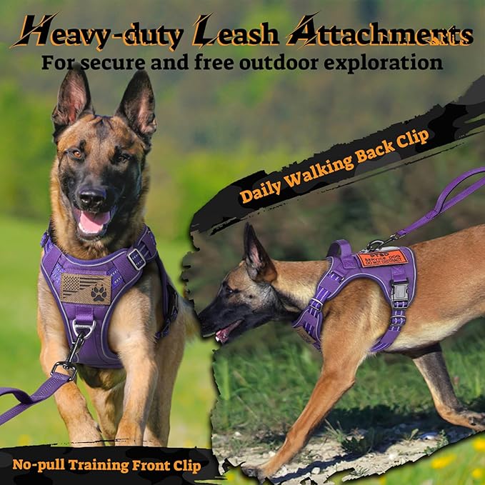 rabbitgoo Tactical Dog Harness for Large Dogs No Pull Adjustable Military Vest with Handle MOLLE Reflective Heavy Duty Dog Vest for Walking Training Hunting Outdoor Working Medium Size Dog Purple M