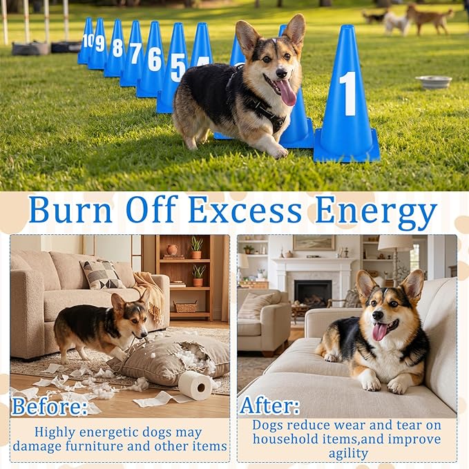 12 Inch Dog Agility Hurdle Cone Set with 10 Blue Training Cones 2 Number Stickers Distance Adjustable Dog Agility Course Backyard Equipment for Pet Obstacle Course for Obedience Rehabilitation Starter