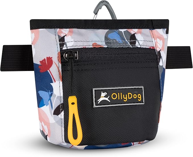 OllyDog Goodie Treat Bag, Dog Treat Pouch, Waist Belt Clip for Hands-Free Training, Magnetic Closure, Dog Training and Behavior Aids, Three Ways to Wear (Fiori)