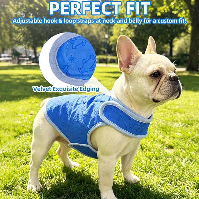 PUPTECK Dog Cooling Vest, Breathable Mesh PVA Dog Shirt, Lightweight Soft Instant Chill Sleeveless Pet Clothes, Adjustable Cooler Jacket Puppy Outfit for Hot Summer Outdoor, Blue Bear M