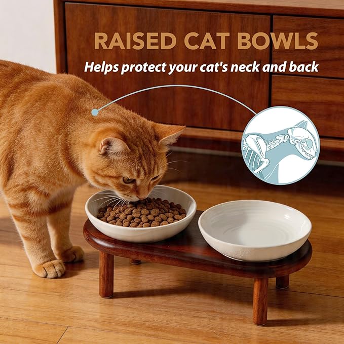 Havniva Elevated Cat Bowls Raised Ceramic Cat Bowl, 5.9” Wide Opening Cat Food Bowl Whisker Friendly Cat Dish Anti-Slip with Wood Stand, Shallow Pet Food & Water Bowl for Indoor Cats