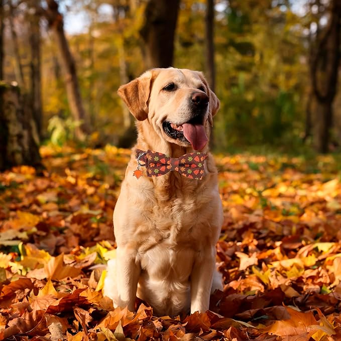 ADOGGYGO Fall Dog Collar with Bowtie, Adjustable, Brown, Maple Leaves Pattern, Halloween Thanksgiving Fall Bow Collars for Small Medium Large Dogs (Large)