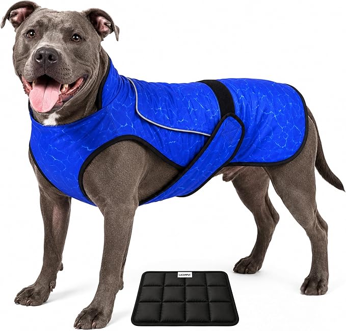Dog Cooling Vest with Ice Pack – 2-Layer Evaporative Cooling Jacket with High Collar, UV Protection & Size-Matched Ice Pack – Cooling Vest for Dogs for Hot Weather (Blue Aqua, Large)