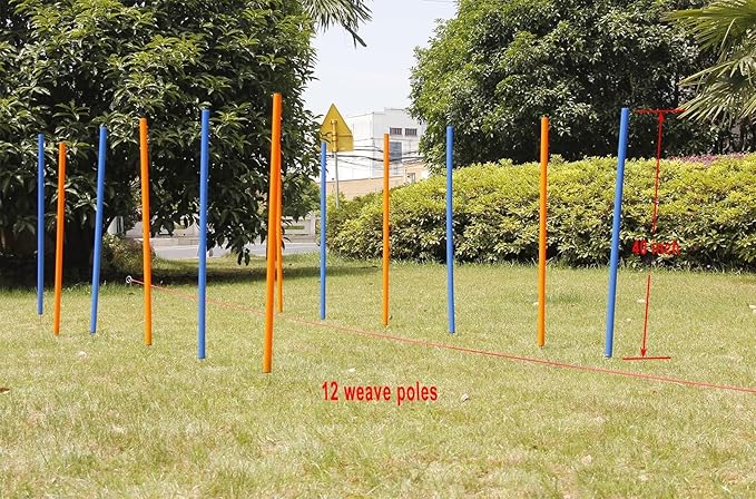 PAWISE Dog Agility Training Equipment,12 Weave Poles for Dogs with Stakes & Carry Bag,Dog Agility Training Set for Outdoor Obstacle Course,Backyard Exercise & Training Equipment for Shepherd Malinois