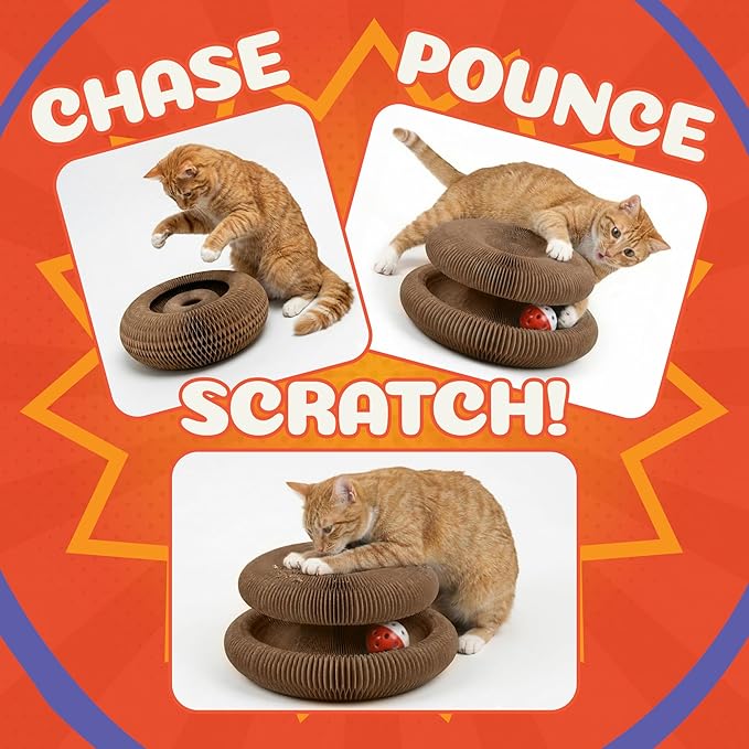 Kitty&Scratch Cat Scratcher Toy | Cardboard Cat Toy with Ball Track with Bell | Kitty Kurlz | Kitty Curls Style Accordion Toy (1 pcs)