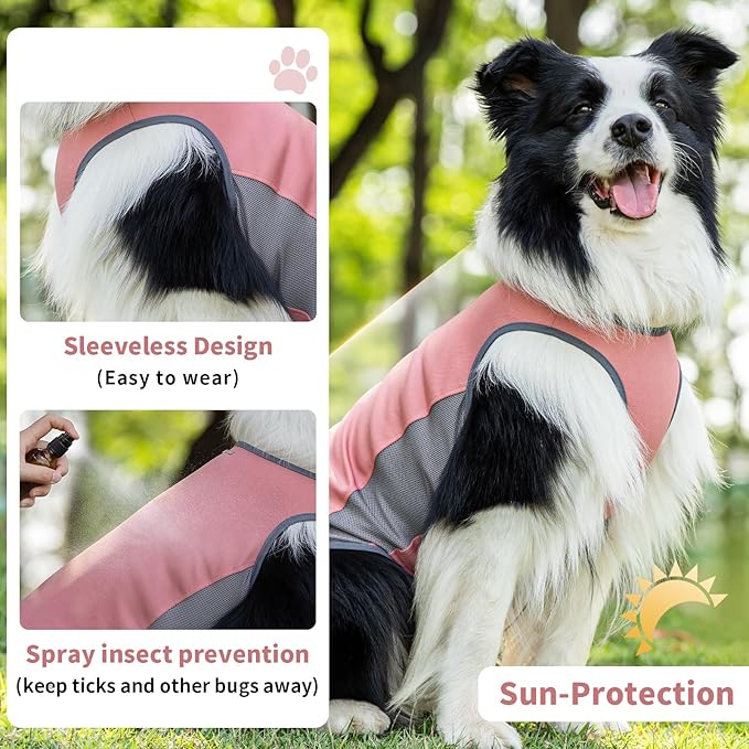 Dog Shirt, Cooling Vest Lightweight Breathable, Dog T-Shirts All-Season UV Protection Pet Clothes Quick Dry Soft Stretchy Pet Shirt Vest for Small Medium Large Dogs (Brier Rose 1PC, Small)