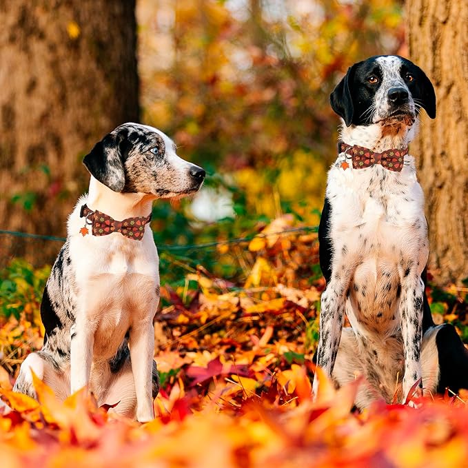 ADOGGYGO Fall Dog Collar with Bowtie, Adjustable, Brown, Maple Leaves Pattern, Halloween Thanksgiving Fall Bow Collars for Small Medium Large Dogs (Large)