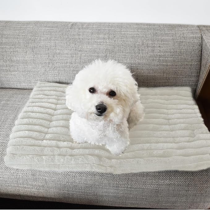 Pet Bed, Soft Corduroy Velvet Cover, Non-Slip Bottom, Cozy Self Warming Dog Bed, Plush Cat Bed, Warm Cat Mat, Comfortable & Pet-Friendly, for Indoor & Outdoor Use (M30''x20'', White)