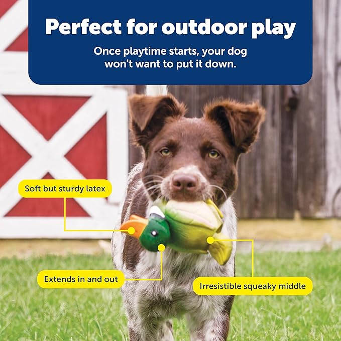 PetSafe Animal Squeak Toys, Duck - Soft Latex Woodland Creatures