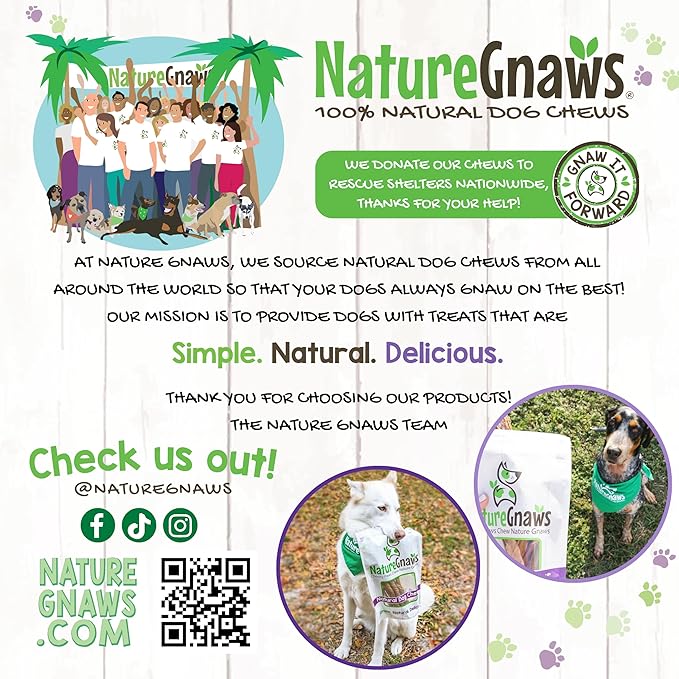 Nature Gnaws Braided Gnaws for Dogs 5-6" (3 Count) - Long Lasting for Small and Medium Dogs - Natural Beef Bully Stick Combo Braids - Rawhide Free