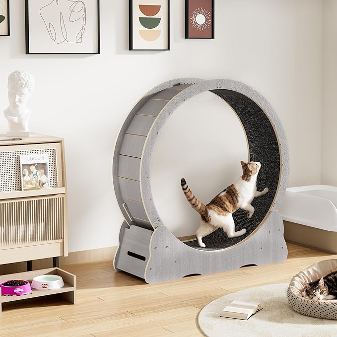 Cat Wheel for Indoor Cats, Quiet Large Cat Treadmill with Detachable Carpeted Runway, 46” Exercise Running Wheel for Pet’s Health and Entertainment, (XL, Gray)