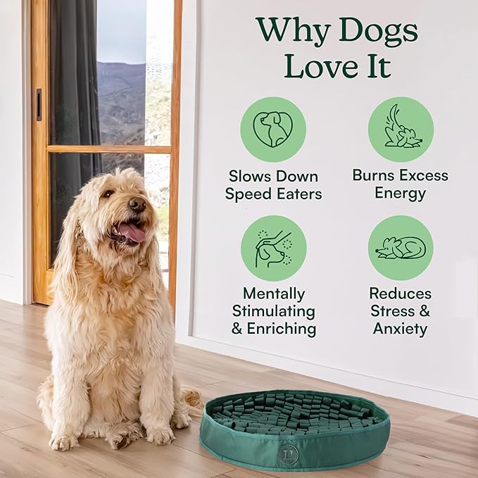 Reggie Snuffle Mat for Dogs, for Calming Support, Reducing Speed Eating, and Mental Stimulation, Durable & Easy to Clean Sniff Mat for Dogs, 20" Large Diameter, Dog Enrichment Toys, Hunter Green