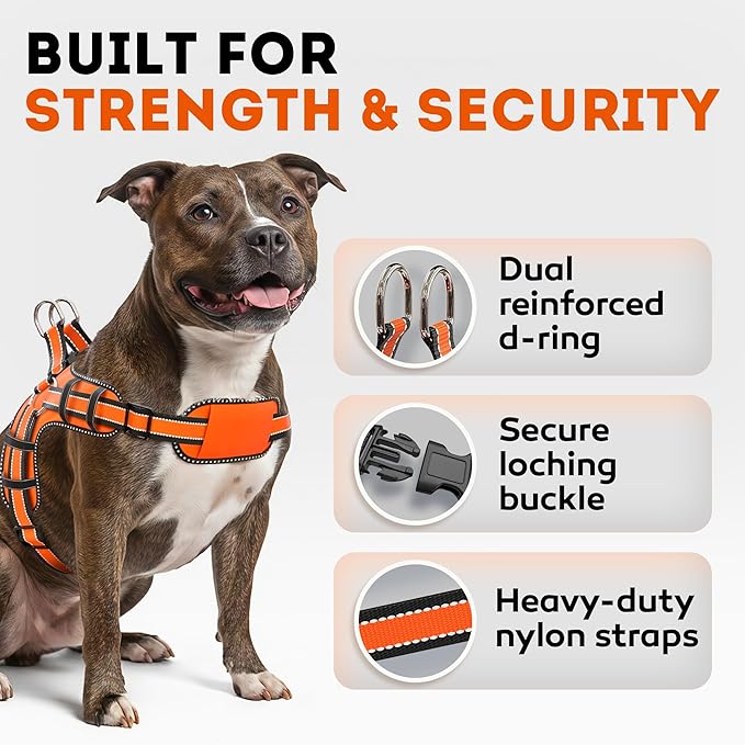 Dog Harness for Small Dogs Back D-Ring Control No Choking Pressure-Free Chest Design Comfortable Padded Adjustable Reflective Vest Harness for Daily Walks Training Easy Control Outdoor Use Secure Fit