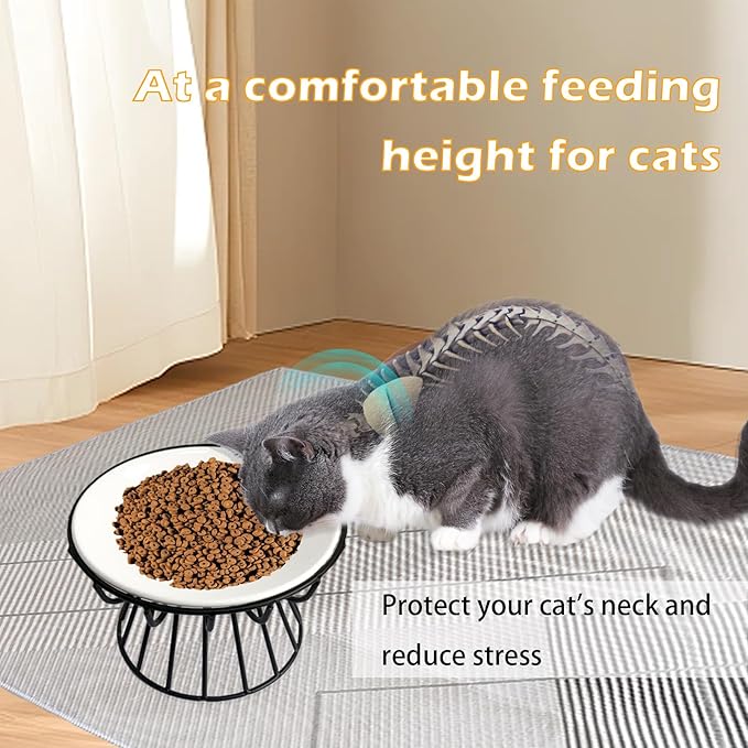 Ceramic Cat Bowls with Metal Stand,2 Pack Elevated Cat Bowl Raised Kitten Food&Water Feeding Shallow Dish for Indoor Cats,Puppies,Small Dogs