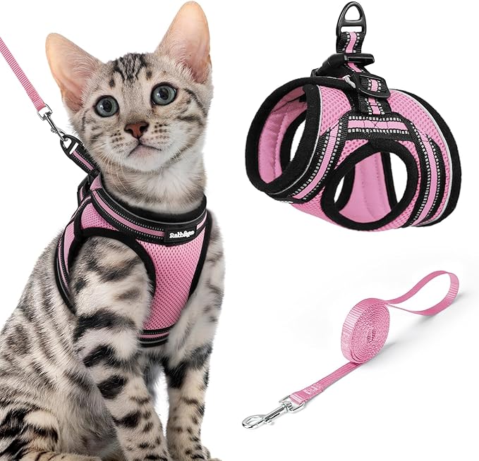 rabbitgoo Cat Harness and Leash, Step-in Escape Proof Kitten Harness Set, Soft Comfortable Cat Vest, Easy to Wear and Adjust, Reflective for Safe Outdoor Walking, Pink, X-Large