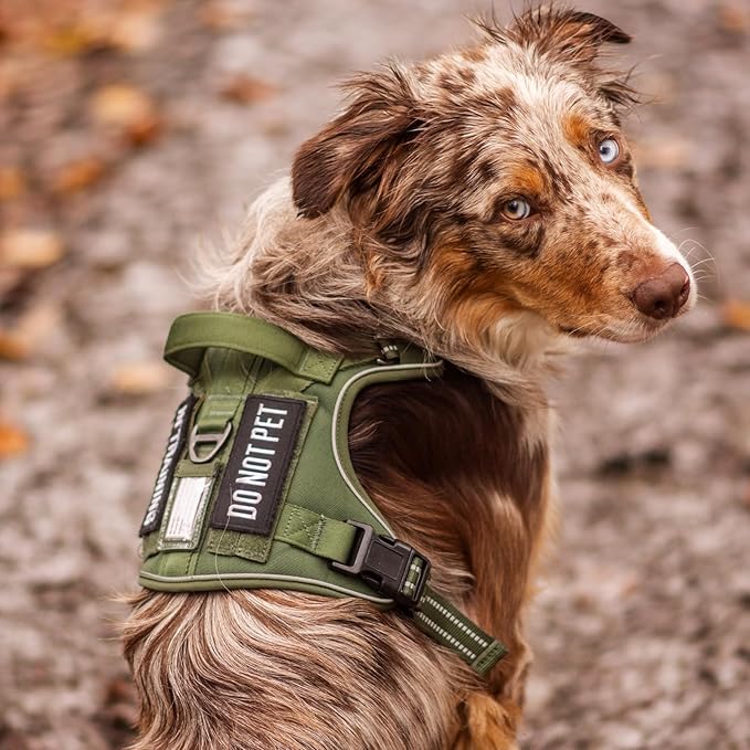 rabbitgoo Tactical Dog Harness for Large Dogs No Pull Adjustable Military Vest with Handle MOLLE Reflective Heavy Duty Dog Vest for Walking Training Hunting Outdoor Working Medium Size Dog Orange XL