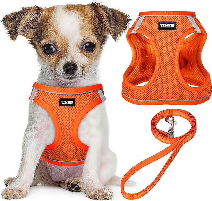YIMEIS Dog Harness and Leash Set, No Pull Soft Mesh Pet Harness, Reflective Adjustable Puppy Vest for Small Medium Large Dogs, Cats (Orange01, Small (Pack of 1)