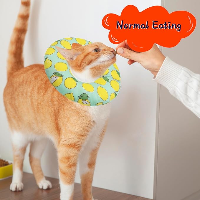Seyezo Cat Cone Collar Soft, Adjustable Cat Recovery Collars to Prevent Licking, Cute Donut E Collar After Surgery, Anti-Lick Recovery Elizabethan Collar for Kittens(Green Lemon, Large)