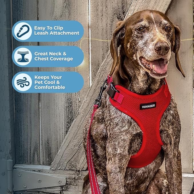 Best Pet Supplies Voyager Step-in Lock Pet Harness w Reflective Pet Leash Combo Set with Neoprene Handle 5ft - Supports Small, Medium and Large Breed Puppies/Cats - Red, S