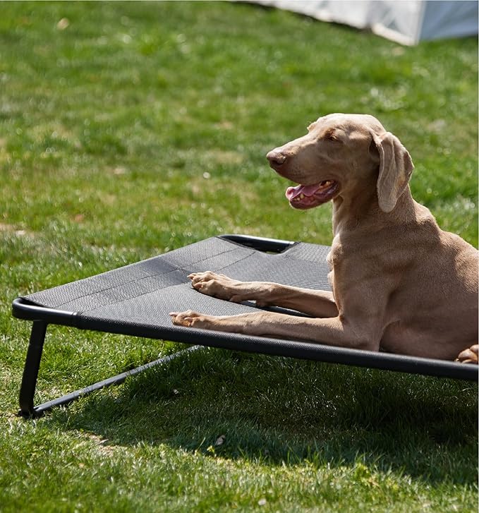 MADE 4 PETS Raised Dog Bed for XXL Dogs - Outdoor Elevated Pet Cot with Snap-in Legs, Washable Mesh, Non-Slip Feet, Durable & Chew-Resistant Hammock Bed, Indoor & Outdoor Use, 54"x37", Black