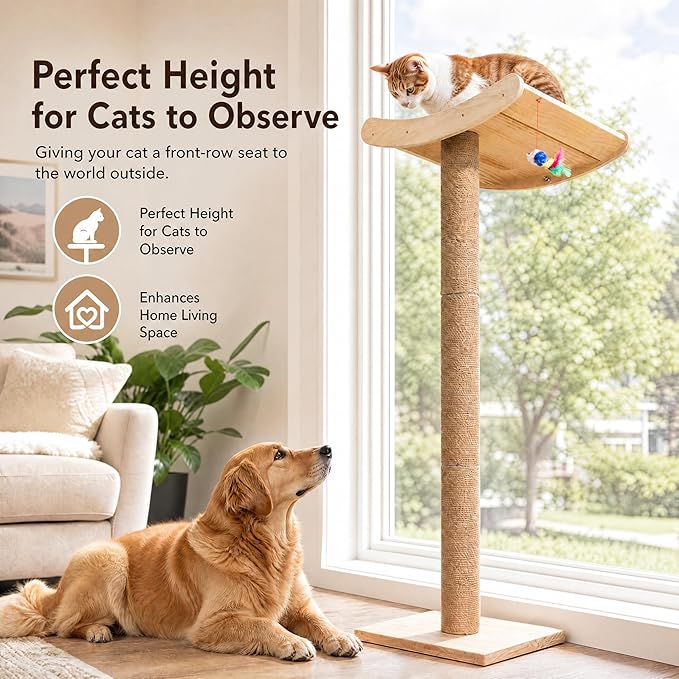 Window Cat Perch with Scratching Posts, 46" Wood Tree Bed for Maine Coon Big Cats Perching and Lounging, Mounted with 3 Strong Suction Cups (Wood Platform)