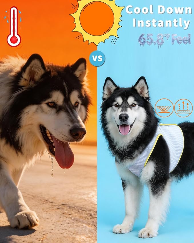 Huafly Dog Cooling Vest with Instant Chill-Heat Reflective Mesh Evaporative Dog Cooling Shirt,Adjustable Quick Release Cooling Harness for Dogs for Summer Walking,Hiking & Hot Weather (X-Small)