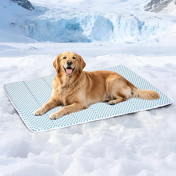Dog Cooling Mat for Large Dogs - 41x27 Orthopedic Memory Foam Pet Pad for Summer, QMAX>0.5, Washable Premium Comfort Crate Pad for Your Furry Companion, Blue