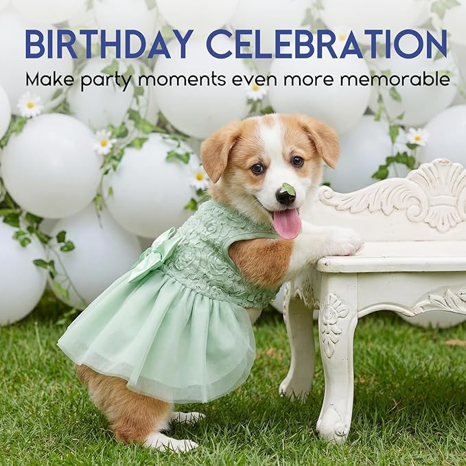 ASENKU Small Dog Dress Pet Wedding Dress Princess Lace Puppy Birthday Party Outfit Formal Apparel Girl for Only Small Medium Dogs Cats (XL, Green)