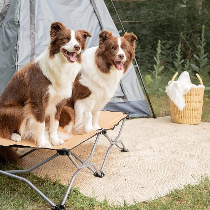 Carlson Pet Products Large Portable Pup Travel Pet Bed, Tan