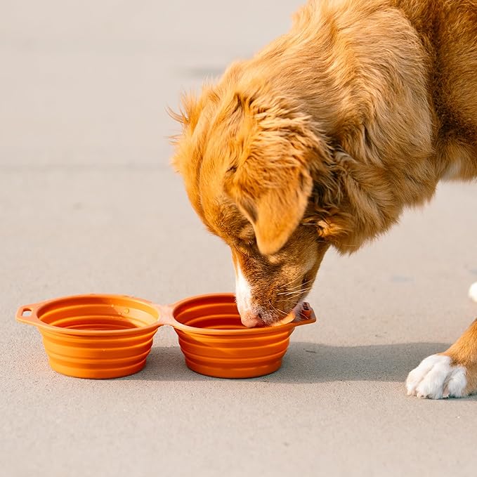 Pup Culture Dual Collapsible Dog Bowls | Silicone Travel Water Bowl for Dogs | Food Grade, No Plastic Rim, Portable Dog Bowl for Food and Water - Easy to Clean | BPA Free and Safe for Your Pup-Grey