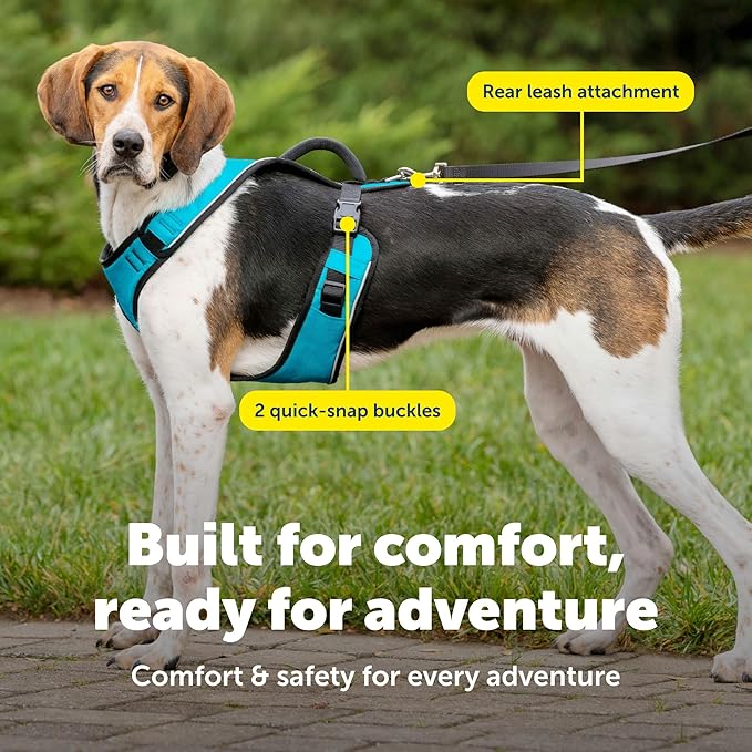 PetSafe EasySport Harness Padded Straps Fully Adjustable Elastic Neckline Best for Athletic Dogs Top Handle for Quick Control - Large - Teal